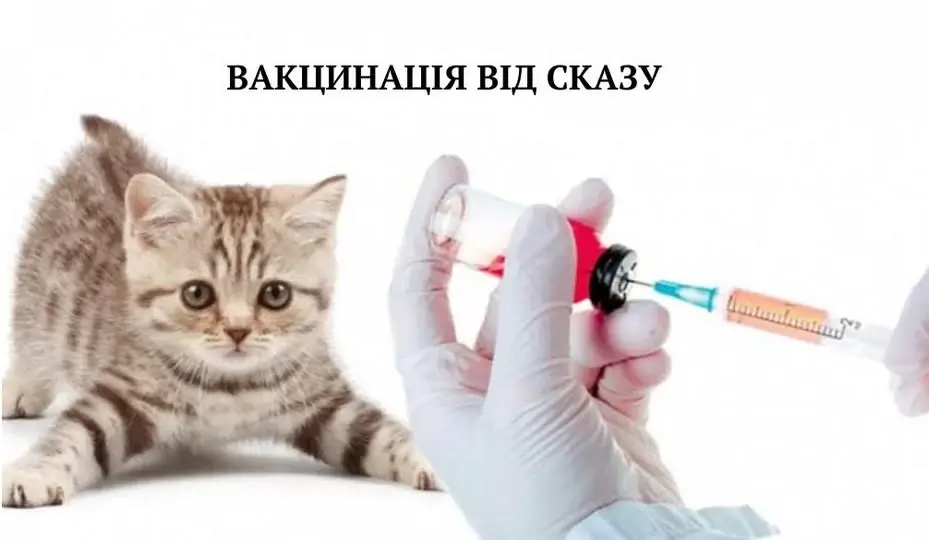 Ветеринарні заходи